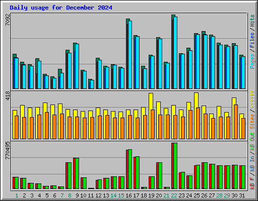 Daily usage for December 2024