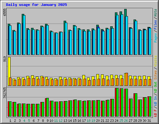 Daily usage for January 2025