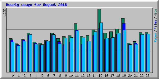 Hourly usage for August 2016