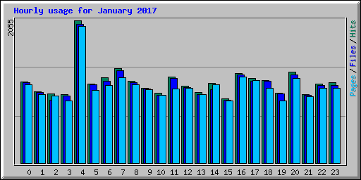Hourly usage for January 2017