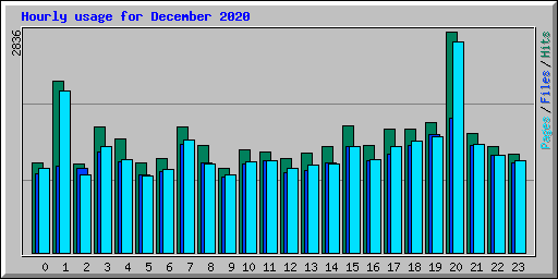 Hourly usage for December 2020