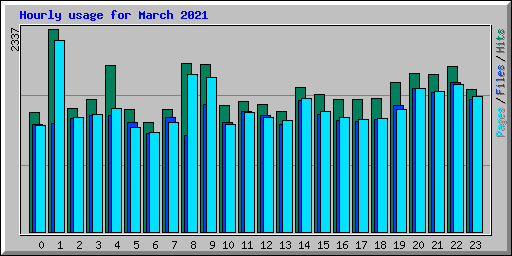 Hourly usage for March 2021