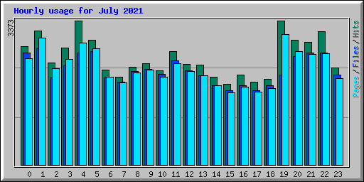 Hourly usage for July 2021