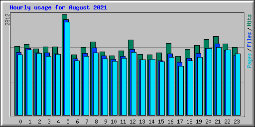 Hourly usage for August 2021