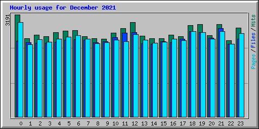 Hourly usage for December 2021