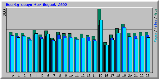 Hourly usage for August 2022