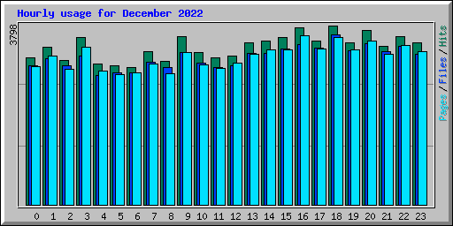Hourly usage for December 2022