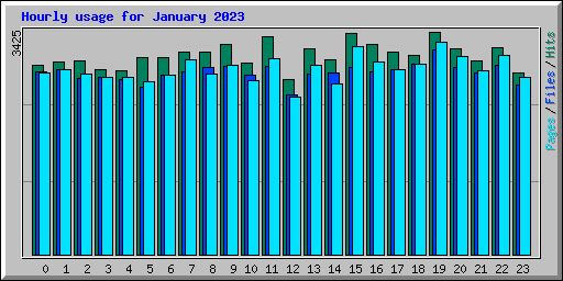 Hourly usage for January 2023