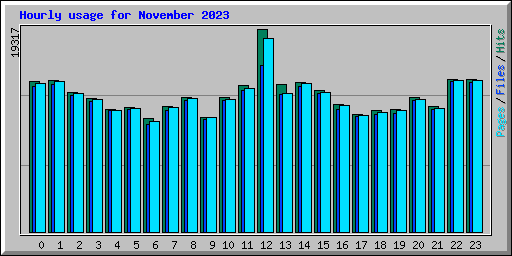 Hourly usage for November 2023