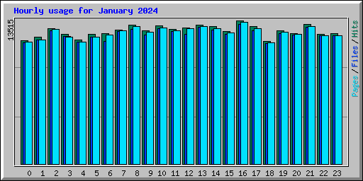 Hourly usage for January 2024
