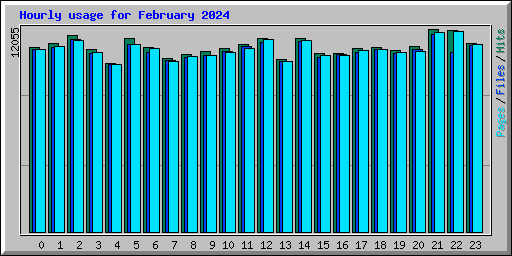 Hourly usage for February 2024