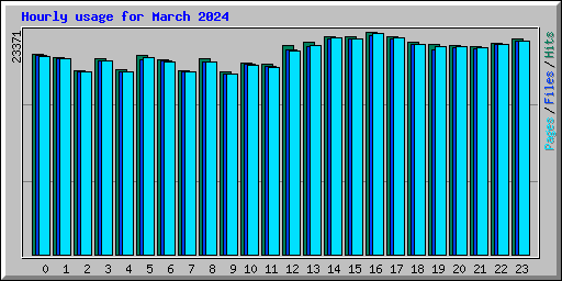 Hourly usage for March 2024