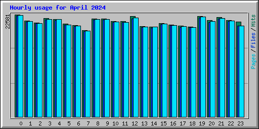 Hourly usage for April 2024