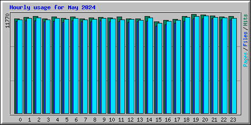 Hourly usage for May 2024