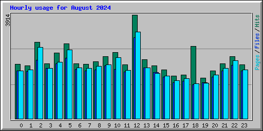 Hourly usage for August 2024