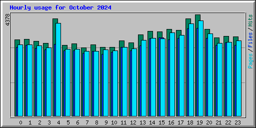 Hourly usage for October 2024
