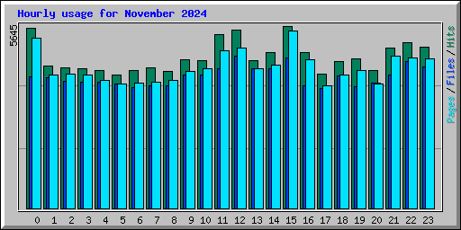 Hourly usage for November 2024