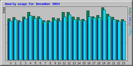 Hourly usage for December 2024