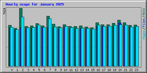 Hourly usage for January 2025