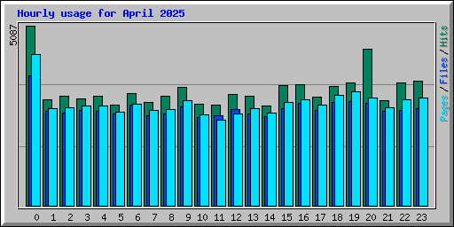 Hourly usage for April 2025