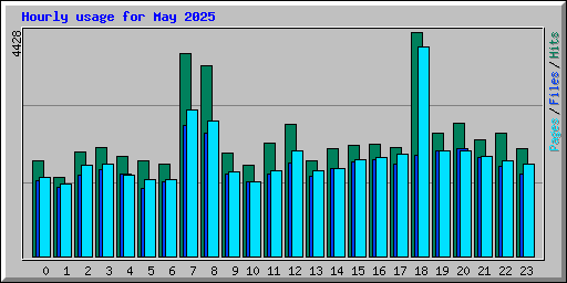 Hourly usage for May 2025