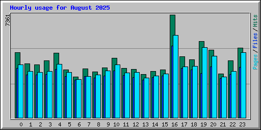 Hourly usage for August 2025