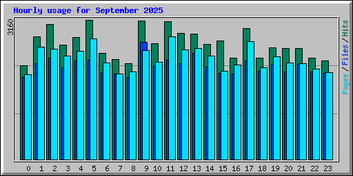 Hourly usage for September 2025