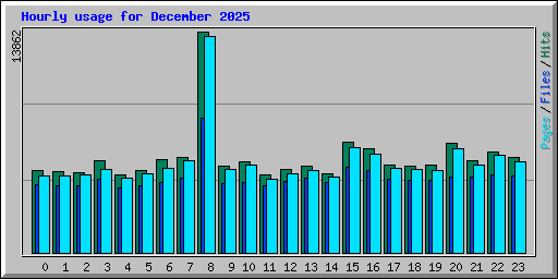 Hourly usage for December 2025