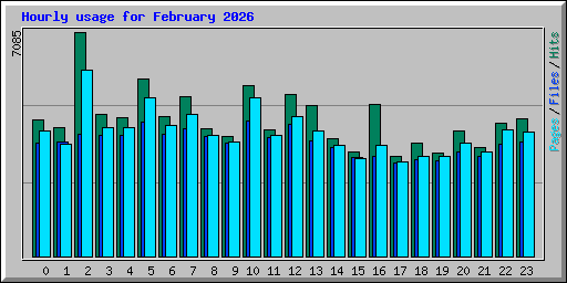 Hourly usage for February 2026