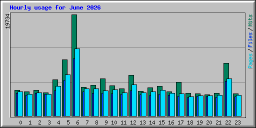 Hourly usage for June 2026