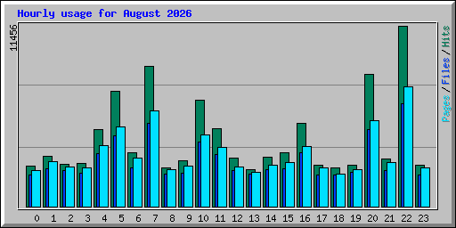 Hourly usage for August 2026